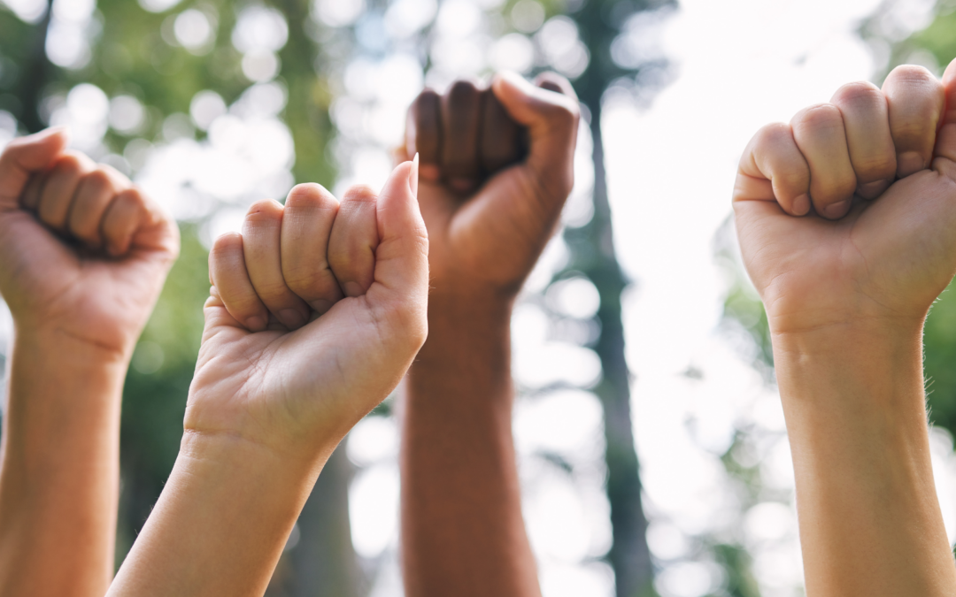 people with their fists in the air practicing sustainable activism