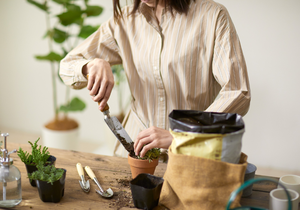 Therapy for Bipolar Disorder